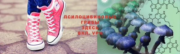 ешки Алексеевка
