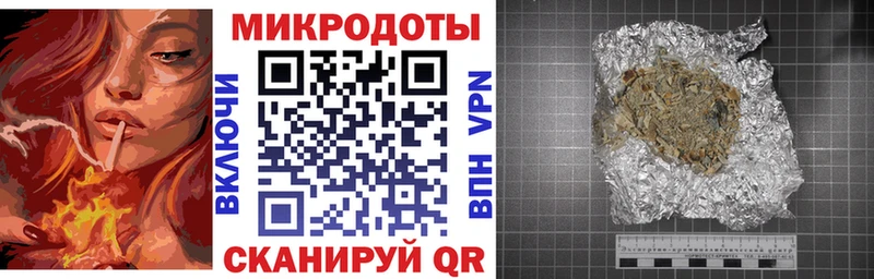 купить   Катайск  Псилоцибиновые грибы Cubensis 